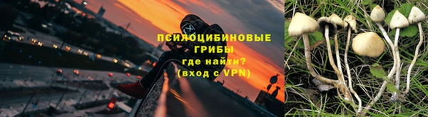 скорость mdpv Богородицк