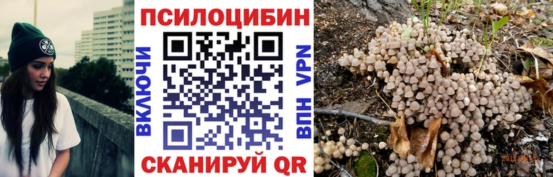 где можно купить наркотик  Барыш  Псилоцибиновые грибы мицелий 